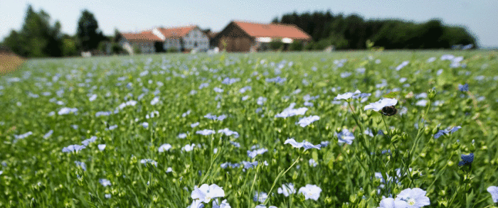 Bioladen Chiemgau